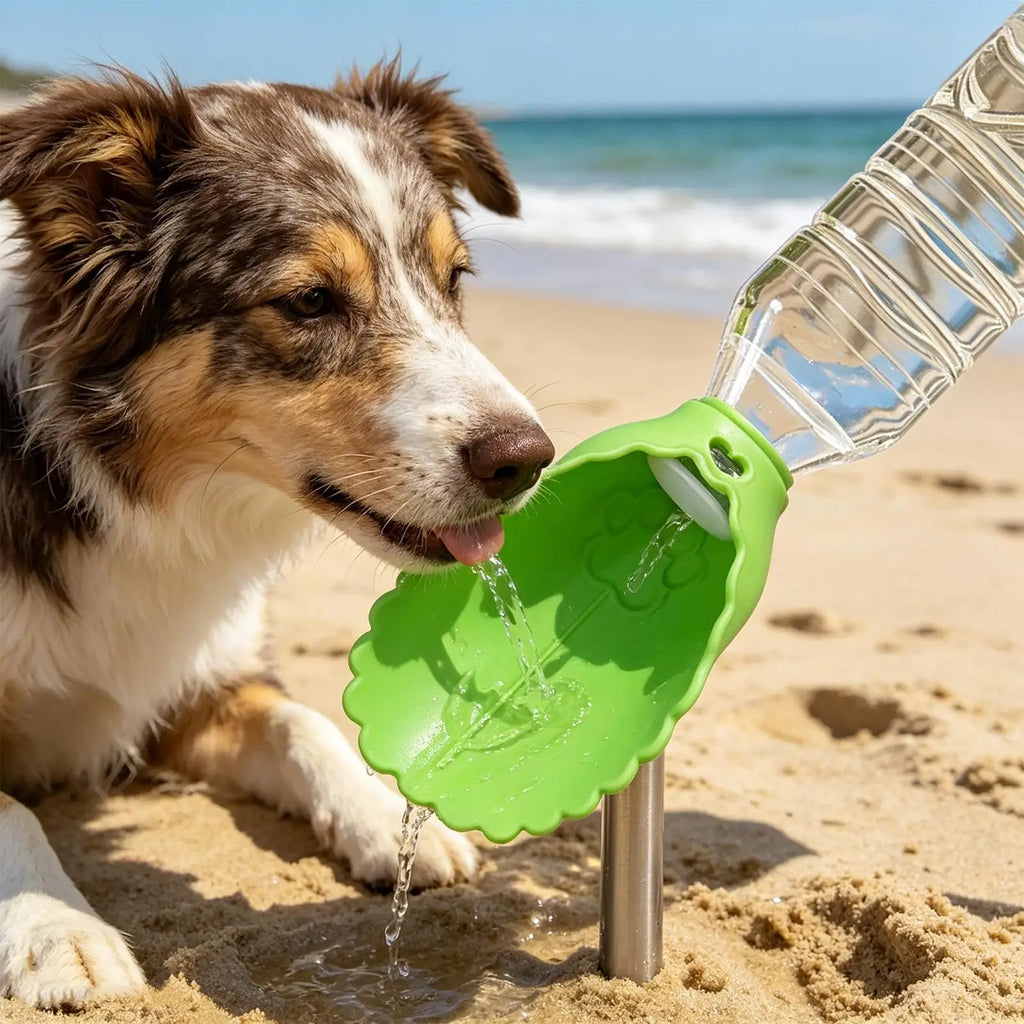 Borraccia Pieghevole da Viaggio per Cani e Gatti